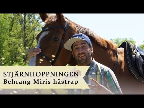Behrang Miris rappar till fansen