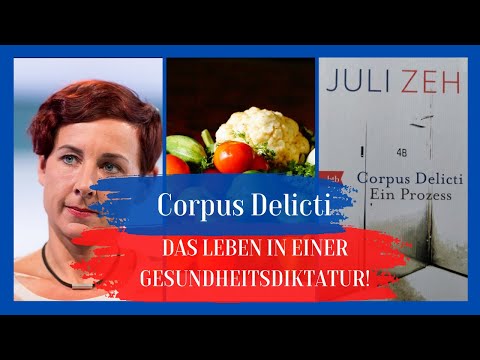 Buchbesprechung in unter drei Minuten Corpus Delicti von Juli Zeh/ Wichtigste Personen und Kapitel