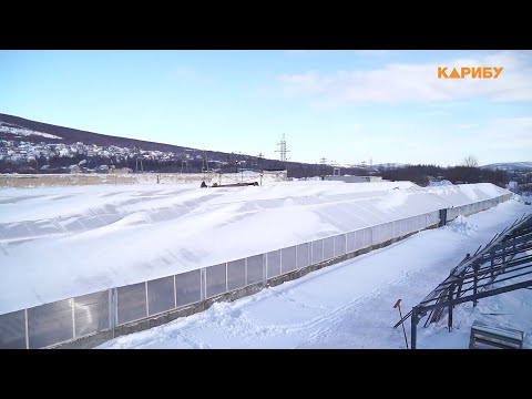 Магадан расцветает: в городе развивают тепличное хозяйство