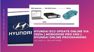 how to update ECM online / Hyundai online ECU update and program via J2534