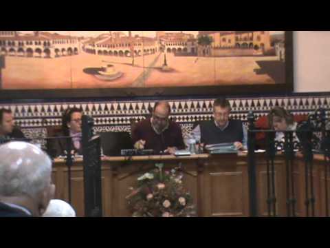 Pleno 15 de marzo de 2013
