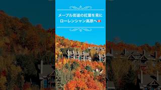 カナダの紅葉を見に、ローレンシャン高原へ🍁
