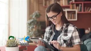 TeleVet Virtual Consultation with Lakeview Vet