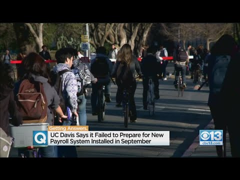 Uc Davis Payroll Calendar 2024