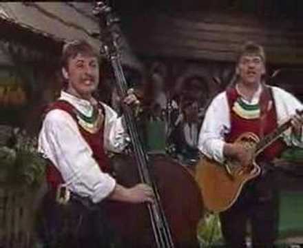 Trio Alpin - Wohl in der Niederschwing (1991)