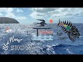 Voyager X Wet Feet Foil Race Recap Blue Planet Show Episode 28