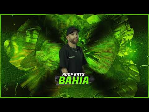 Roof Rats - BAHIA