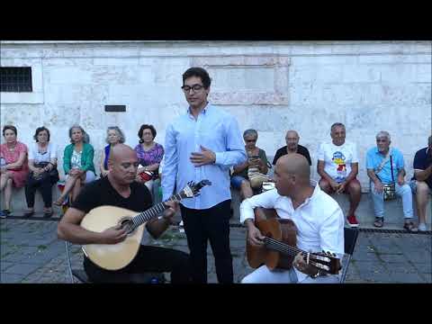 Bernardo Espinho - "Velha Lisboa" (João de Freitas / Popular *fado corrido*)