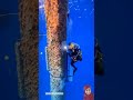 Facing Fear Work At The Dangerous North Sea Short