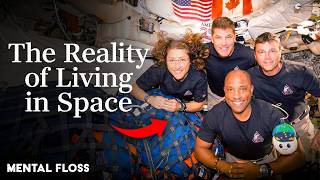 What Astronauts REALLY Experience Living In Space | Mental Floss