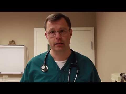 VitusVet: Pet Health Care App Video