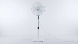 Miniatura vídeo YouTube 1