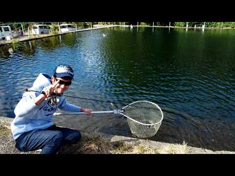 Palms Egeria Area ETGS-62UL 1.89m 1-3.5g Moderate