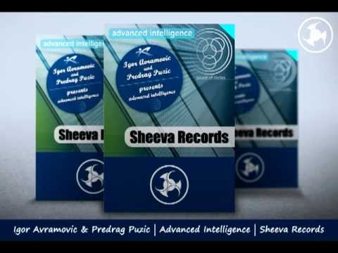 Igor Avramovic & Predrag Puzic | Advanced Intelligence | Sheeva Records