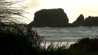 preview picture of video 'Westcoast South Island, New Zealand'