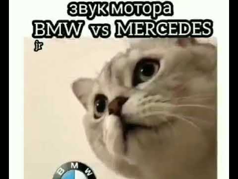 BMV vs MERSEDES😅😂