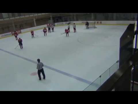 HC Panter 2004 – HC Vipers 2004  1:4 (0:2 ; 0:2 ; 1:0)   24.12.2018