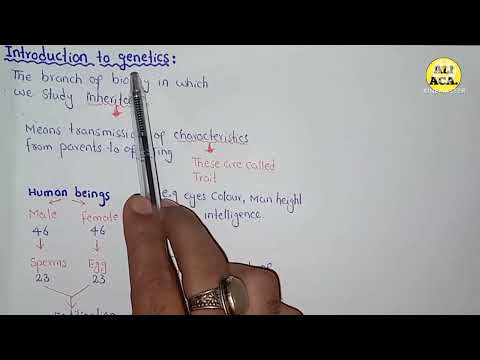 Introduction To Genetics | Class 10 Biology