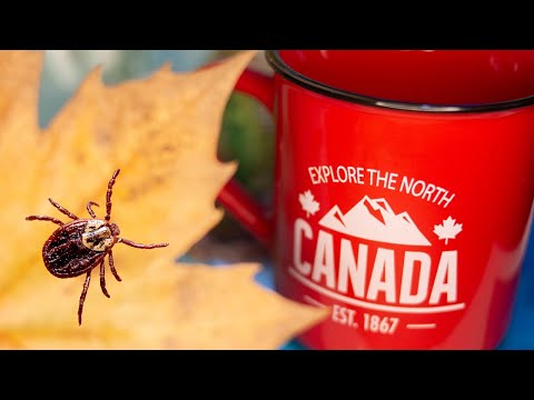カナダのダニ