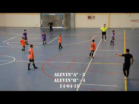 ALEVIN A   ALEVIN B      07 04 18