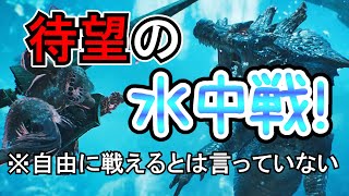 【MHWilds】煌黒共の初見狩猟記【VSラギアクルス】