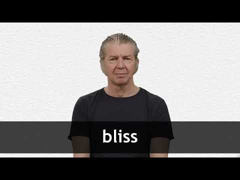 BLISS definition in American English