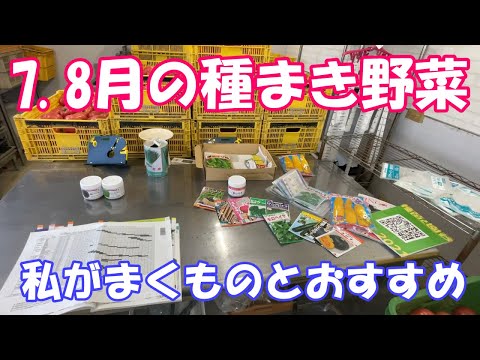 broccoli-plein-vitamines-cultiver-jardin-potager-automne