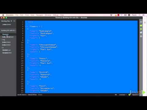 Building Interactive Data Visualizations with D3 js The Course Overview | packtpub com