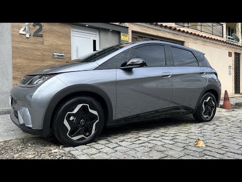 🔴 (the truth) 6 NEGATIVE and 6 POSITIVE POINTS BYD DOLPHIN - OWNER