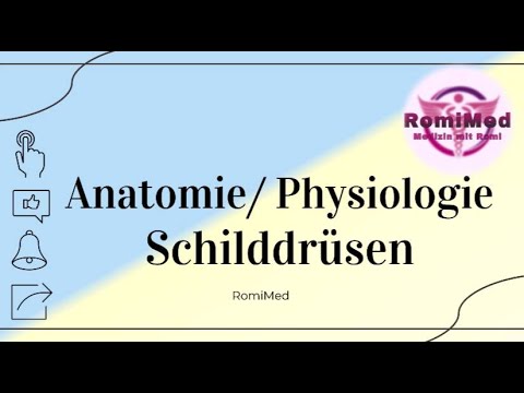 Anatomie/ Physiologie der Schilddrüse