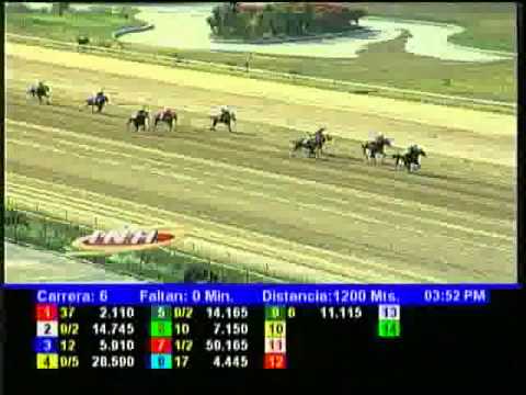 Resumen Domingo, 06 de Julio de 2014 - La Rinconada