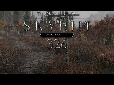 TES V: Skyrim - Special Edition [LP] Part 326 - Was für ein Bärenglück