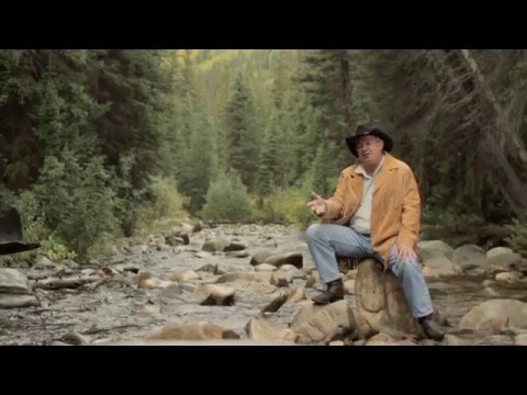 TINCUP Whiskey - Creek