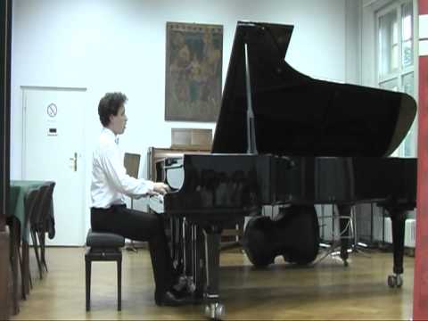 Sopenijada 2012 Vuk Bozilovic .mpg