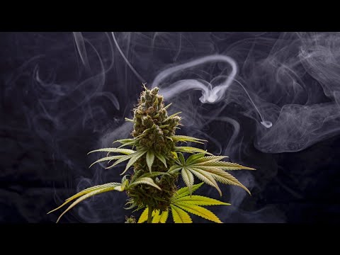 The Rant | Legalizing marijuana in Kentucky still a hot topic, metal detectors in schools