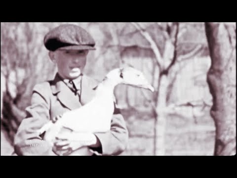 Maršrutas nr. 20 - Maisto pramonė