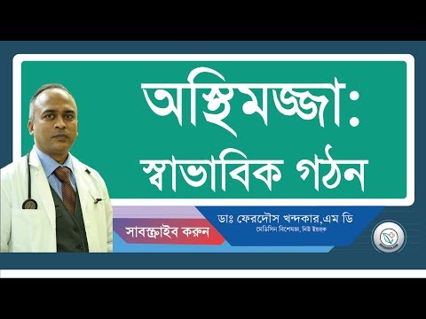 অস্থিমজ্জা:: স্বাভাবিক গঠন।
