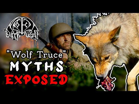 Was the 1917 'Wolf Armistice'  Scientifically Possible? | WW1 | Wolf Truce