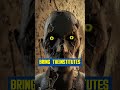 The Minutemen are Hidden in the Fallout TV Show