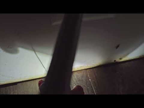 Cockroaches Found in the Flooring in Avon by the Sea, NJ