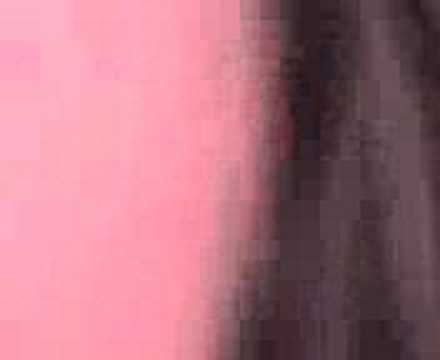 ROLLING LIKE A BITCH