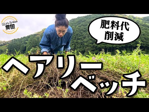 庭の知識: 根粒菌 トピックス