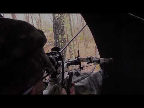 Mon premier dindon sauvage un gros Tom