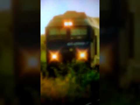 Mega concerte de la Piranda~Jimmy 65-0989-7 în Velența. May 2017.