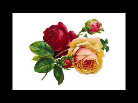 [FREE] Lil Peep x Juice WRLD x Lil Tracy Type Beat - Kurt Cobain 2 (Prod.Do'Henry)