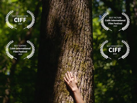 Arm's Reach | Experimental Short Film