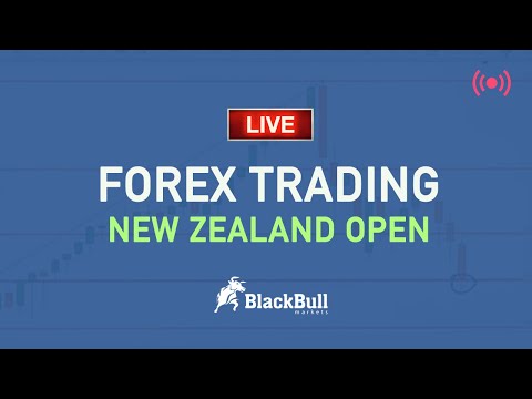 Live Forex Trading, NZ Open - 19/11/20