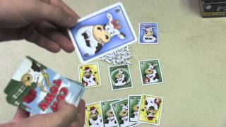 Cowtown Review - with the Vasel Girls