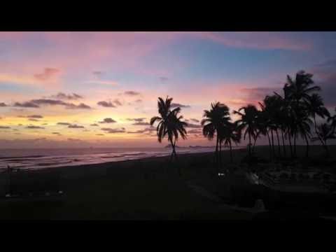 Mrs. - Sick Individuals, Stevie Appleton