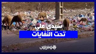 مع حرارة الصيف.. أكوام النفايات تغرق سيدي علي والساكنة تستغيث من الروائح الكريهة thumbnail